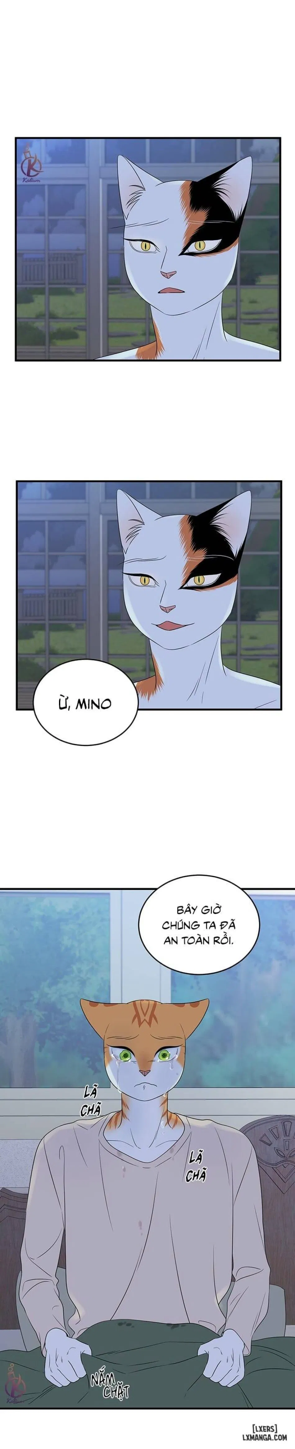 Dự án xanh 