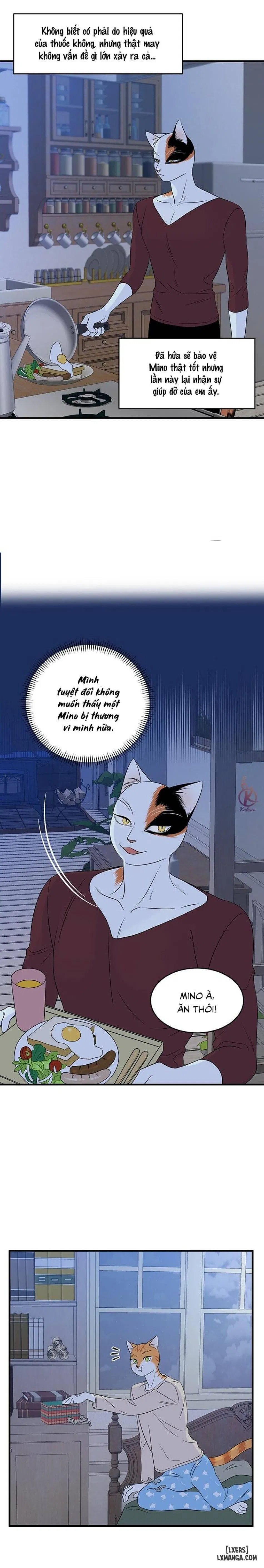 Dự án xanh 