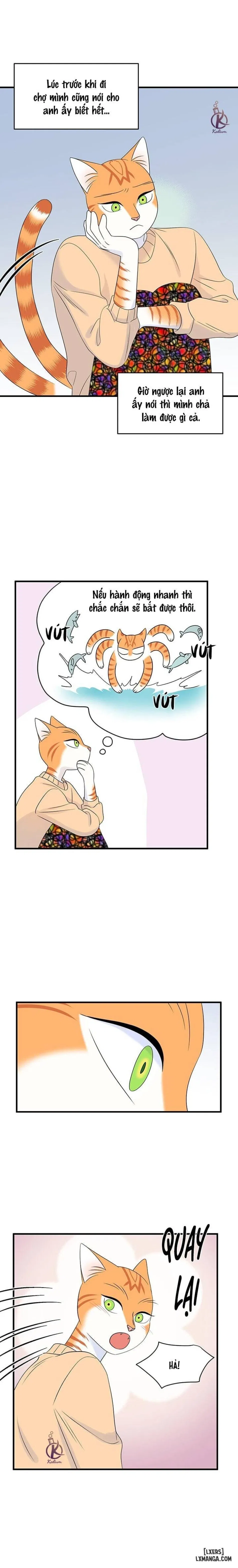 Dự án xanh 