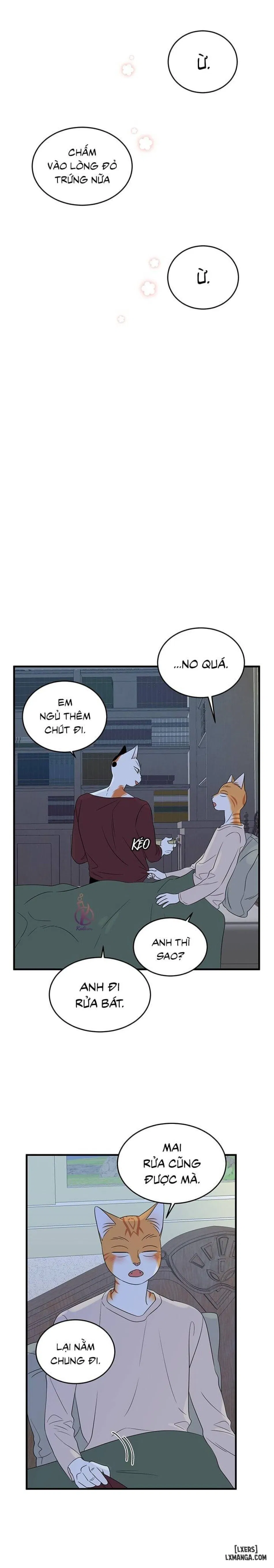 Dự án xanh 