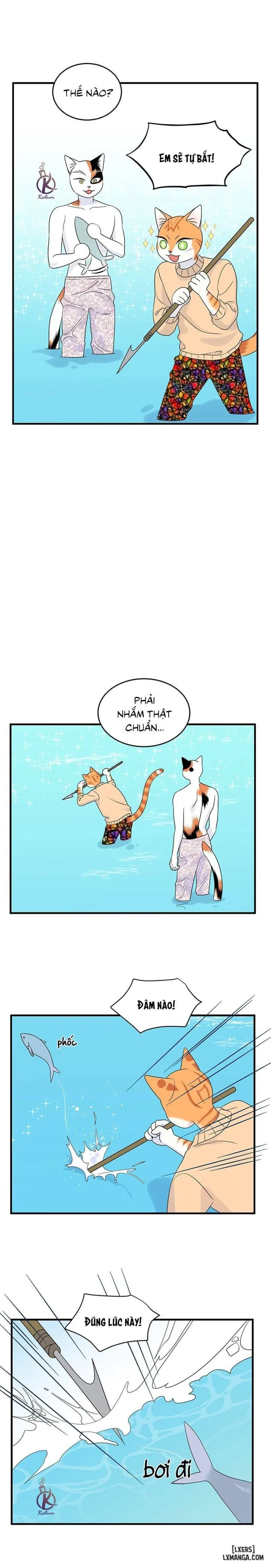 Dự án xanh 