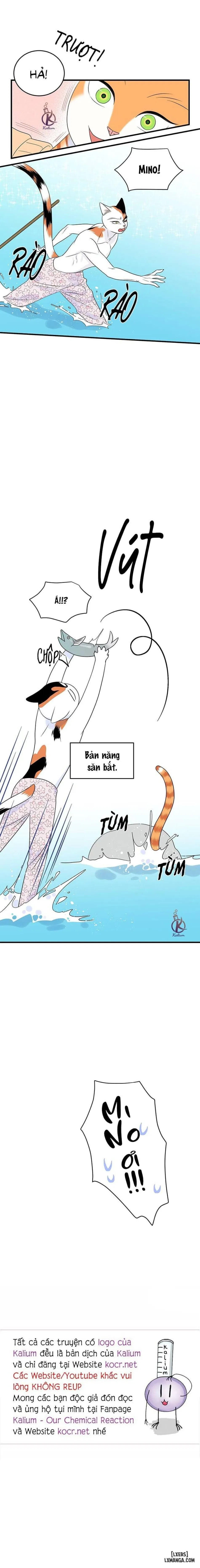 Dự án xanh 