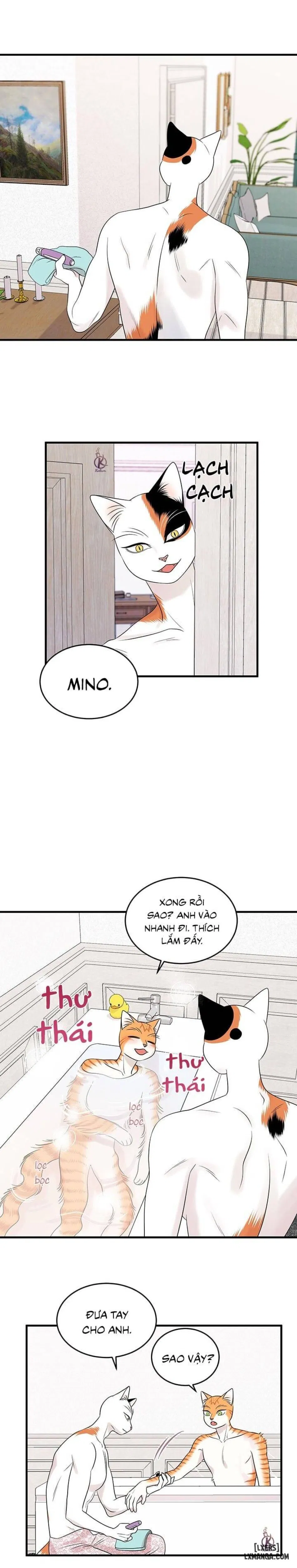 Dự án xanh 