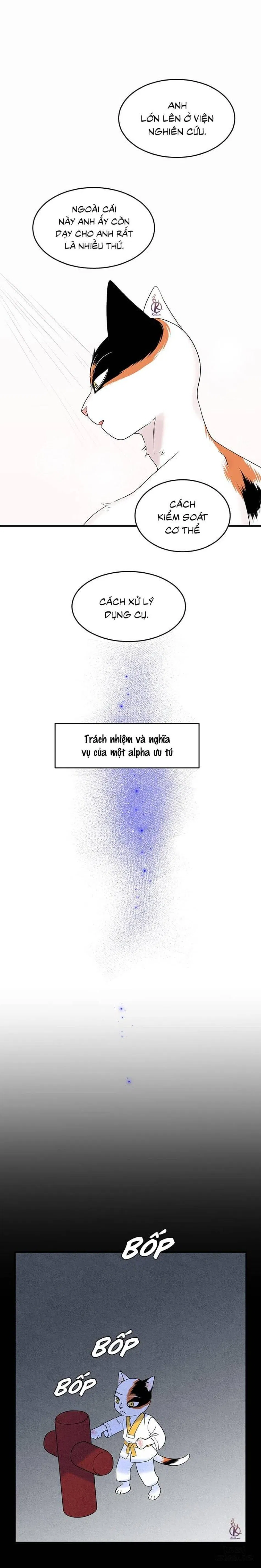 Dự án xanh 