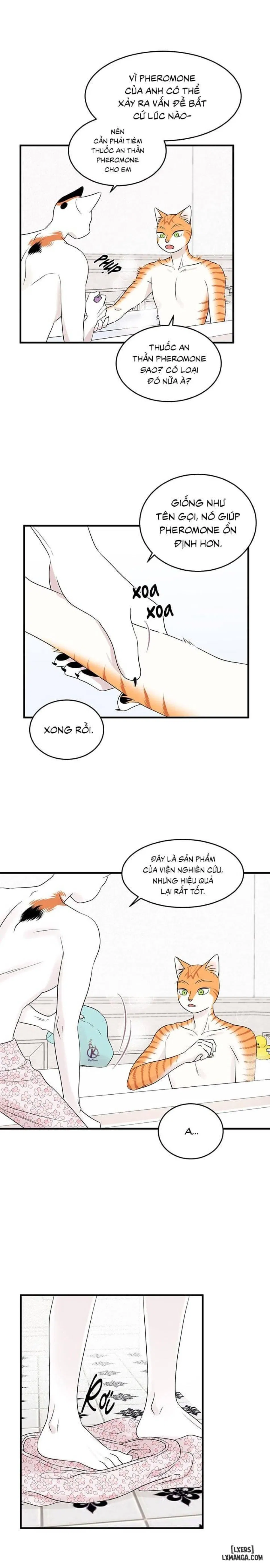 Dự án xanh 