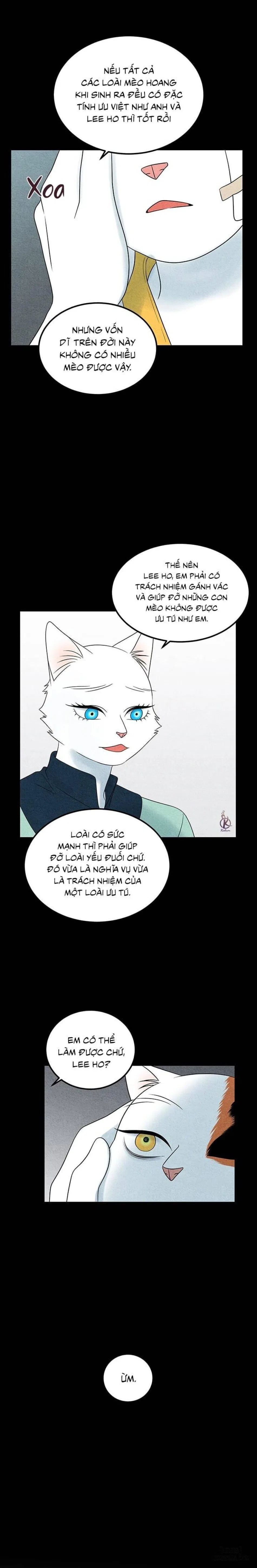 Dự án xanh 