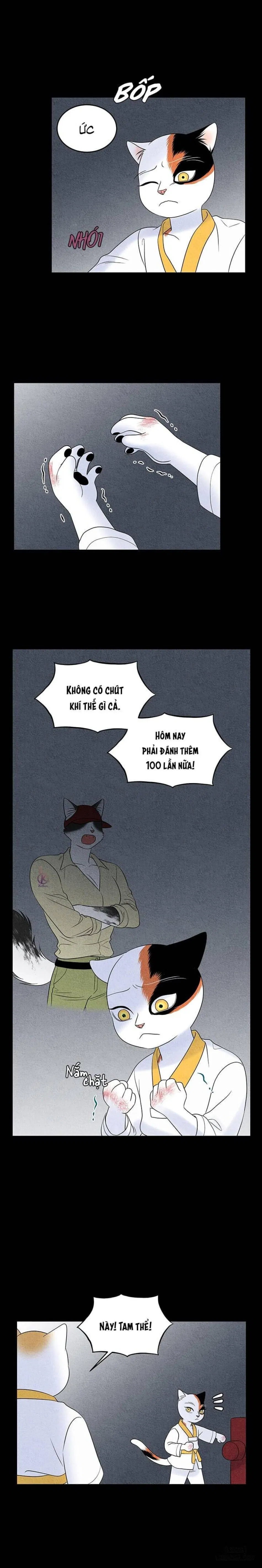 Dự án xanh 