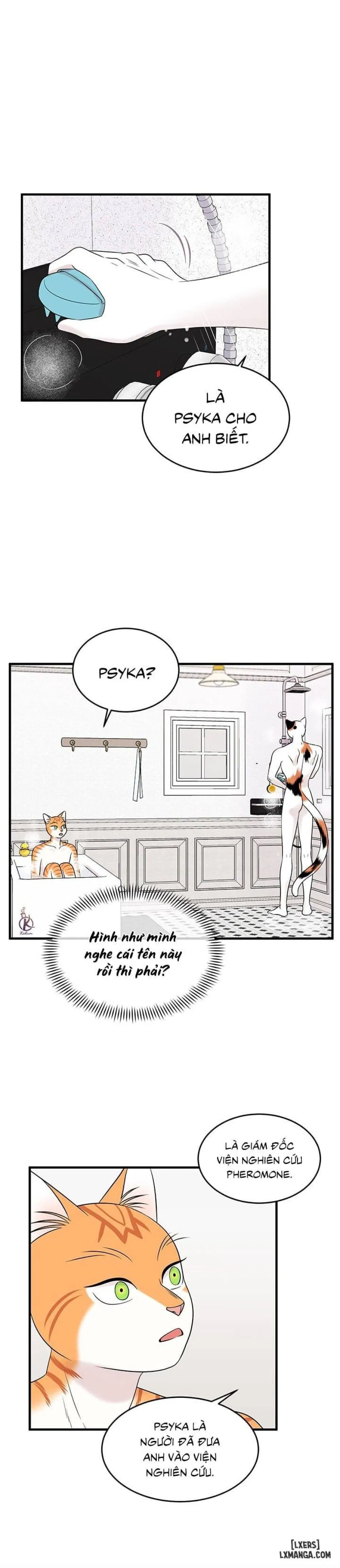 Dự án xanh 