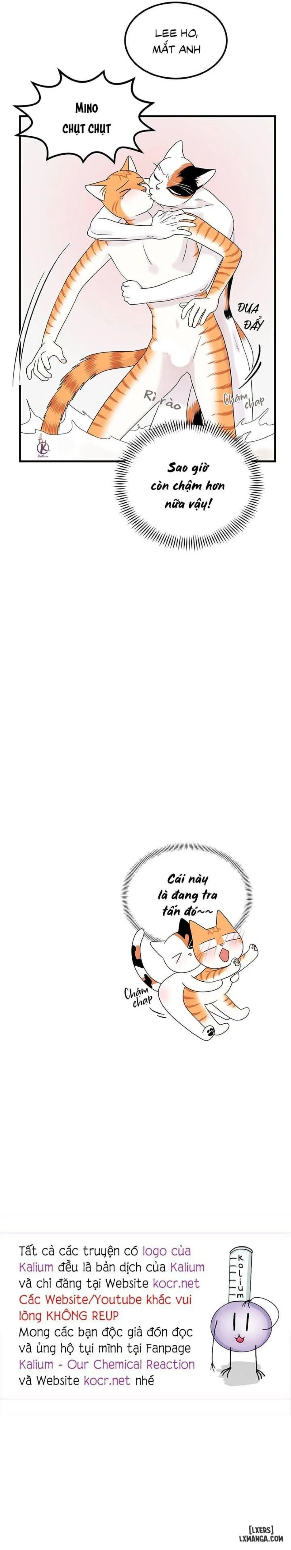Dự án xanh 