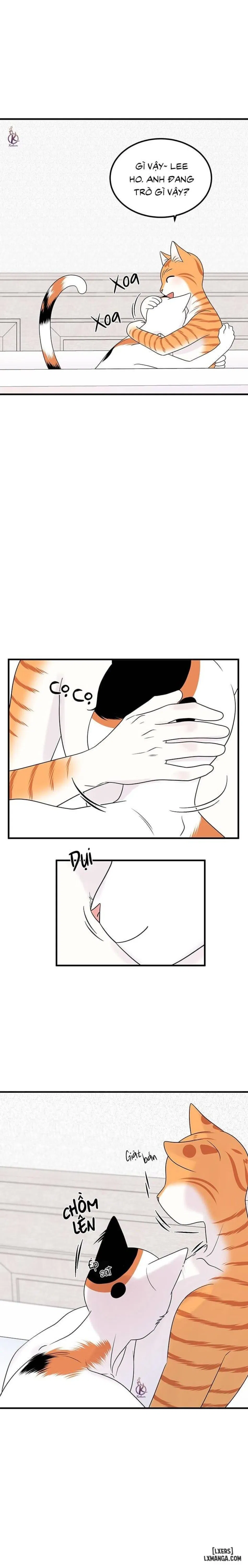 Dự án xanh 