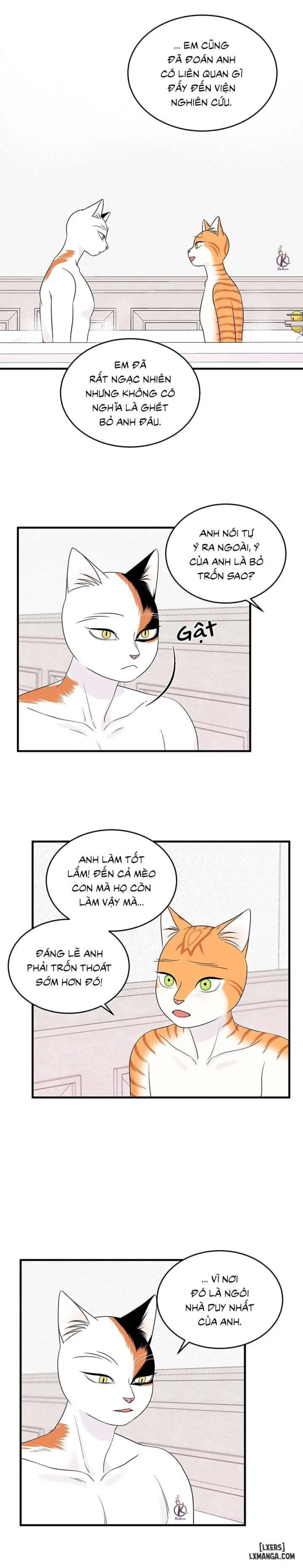 Dự án xanh 