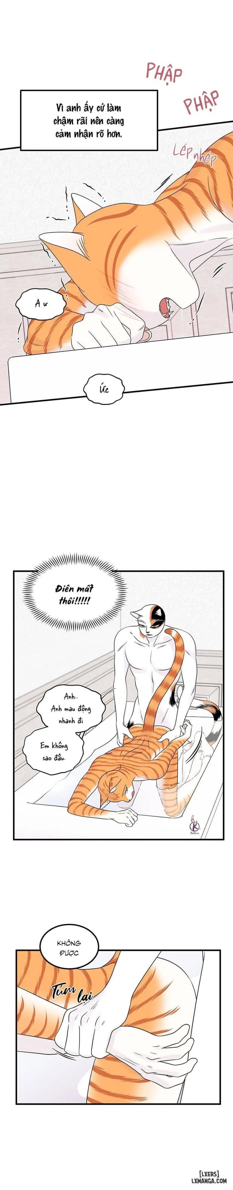 Dự án xanh 