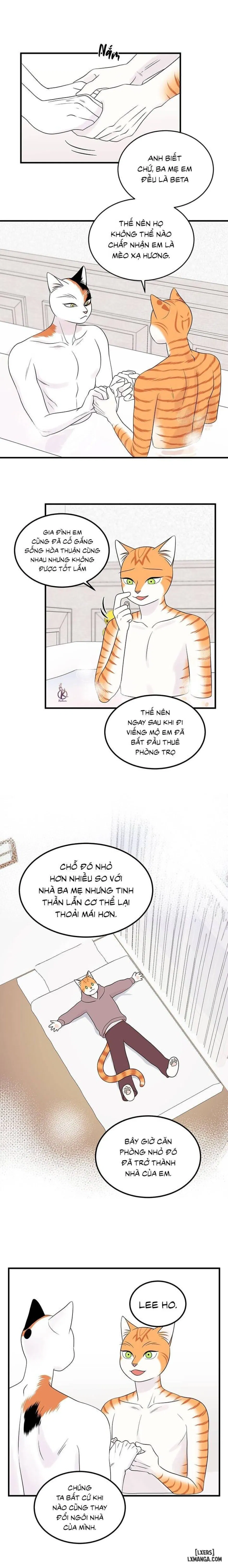 Dự án xanh 