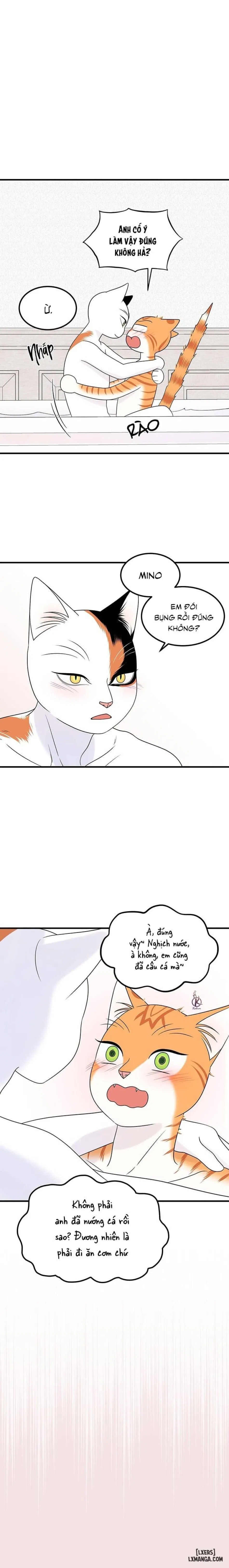 Dự án xanh 