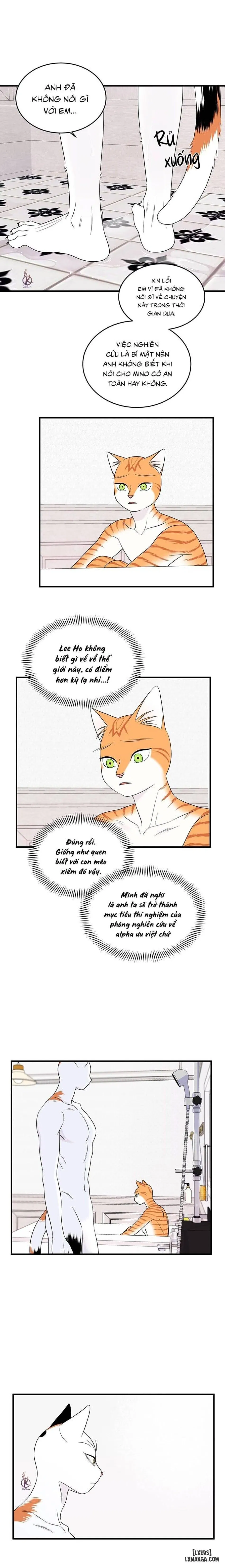 Dự án xanh 