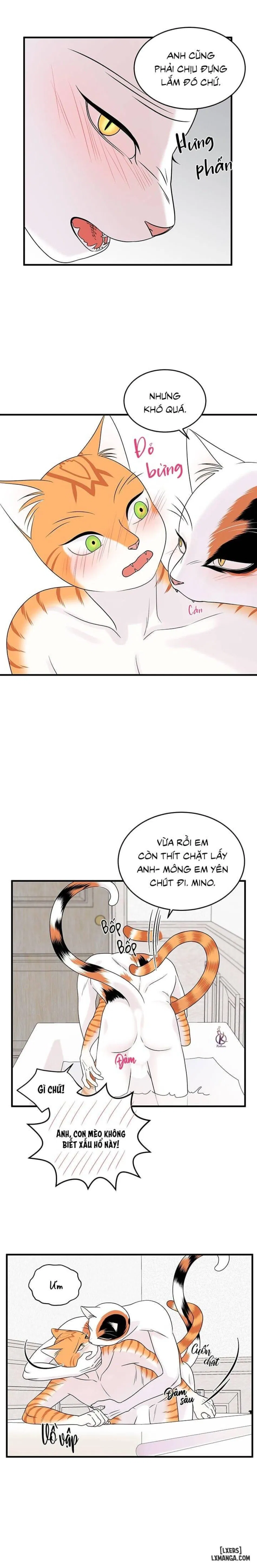 Dự án xanh 