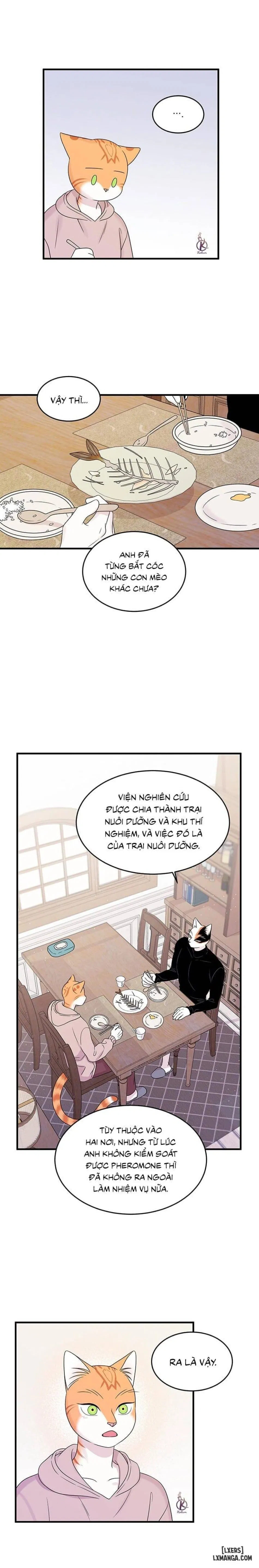 Dự án xanh 