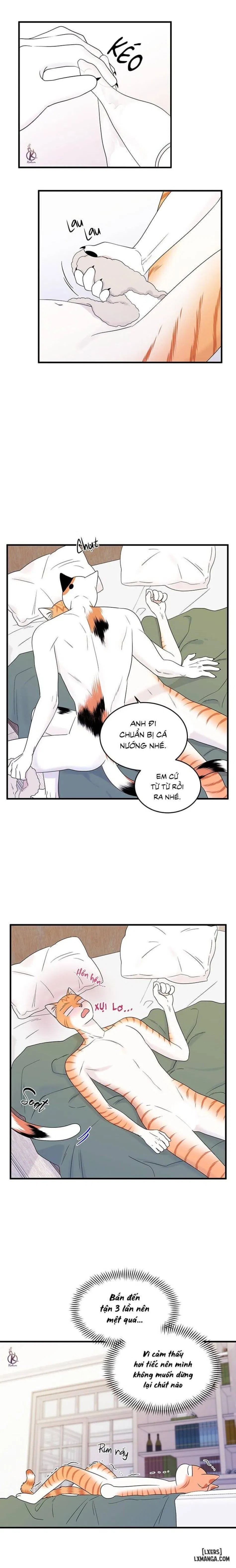 Dự án xanh 