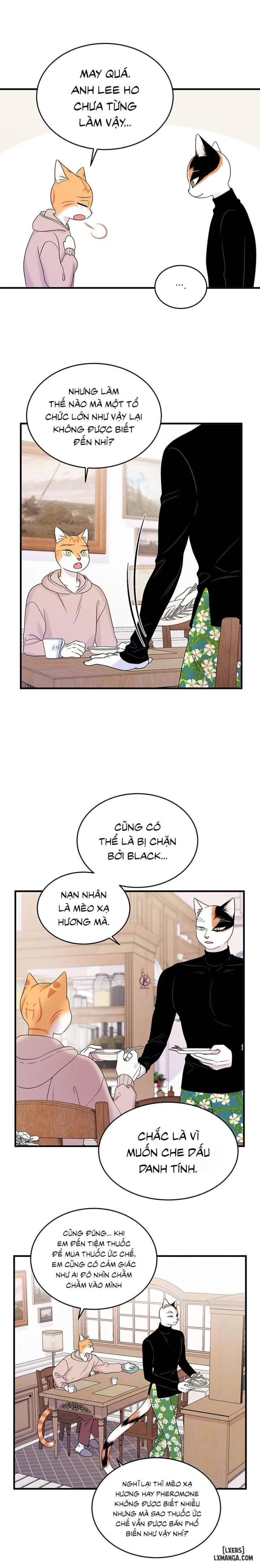 Dự án xanh 