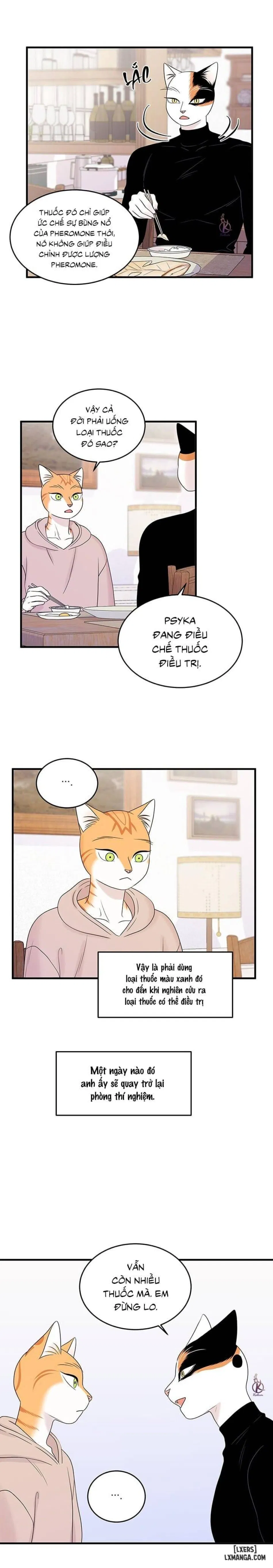 Dự án xanh 