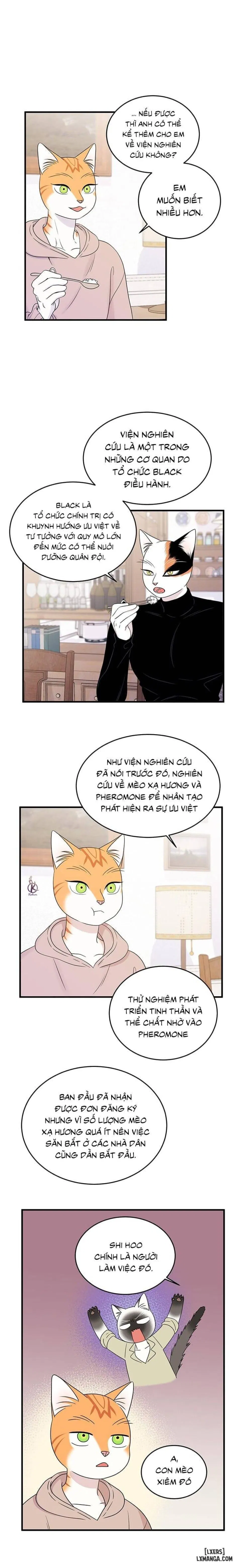 Dự án xanh 