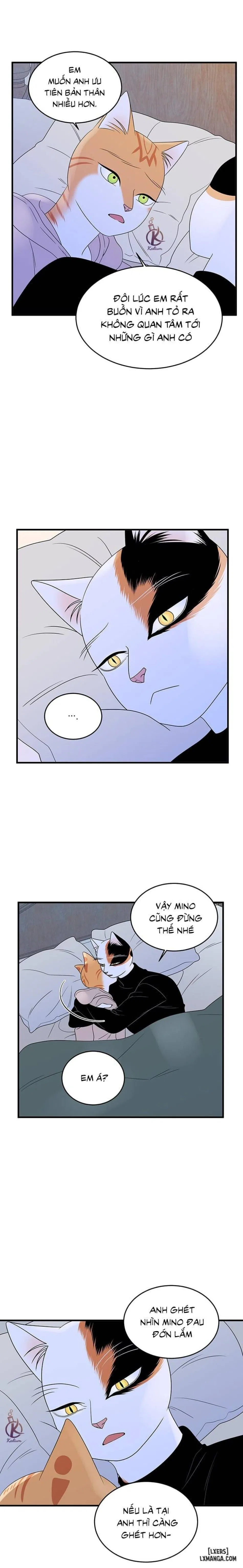 Dự án xanh 