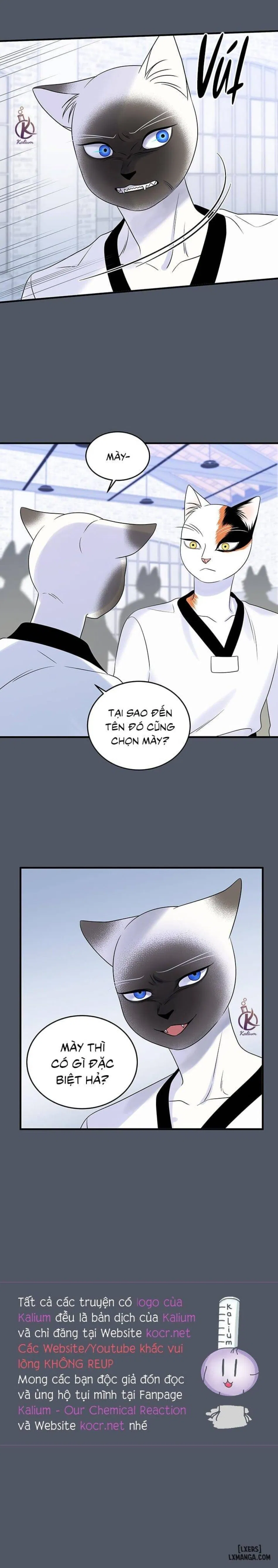 Dự án xanh 