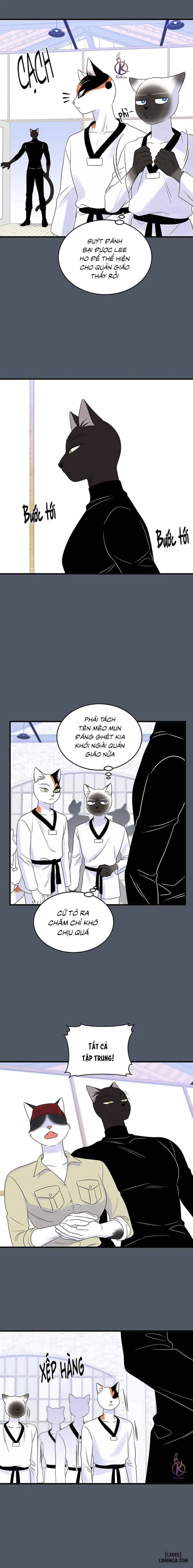 Dự án xanh 