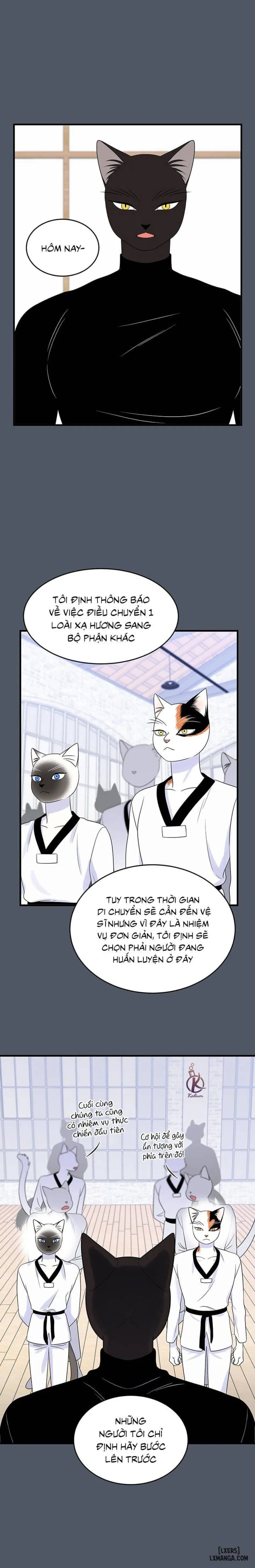 Dự án xanh 