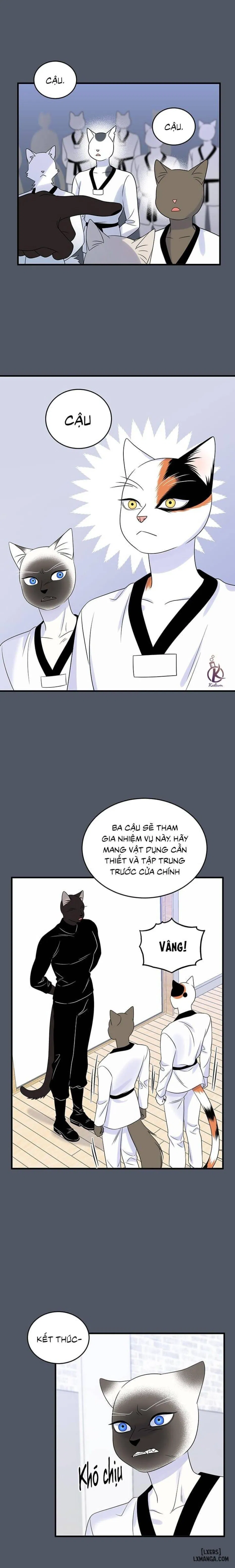 Dự án xanh 