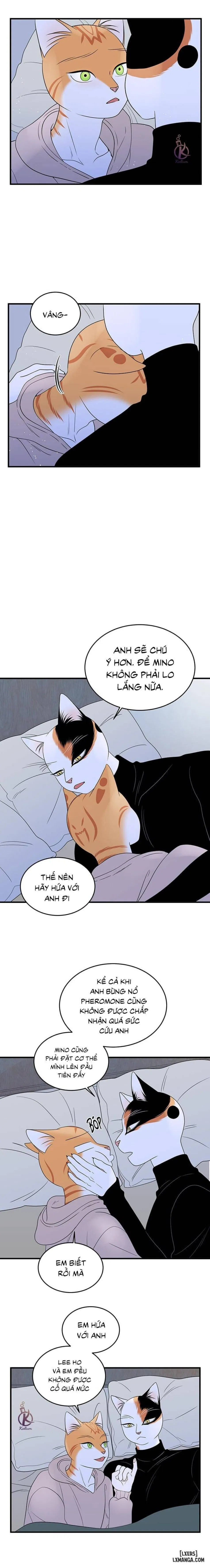 Dự án xanh 