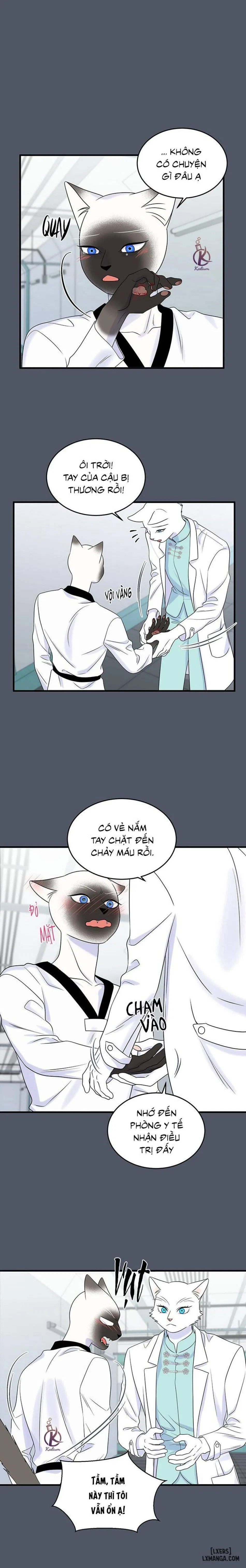 Dự án xanh 