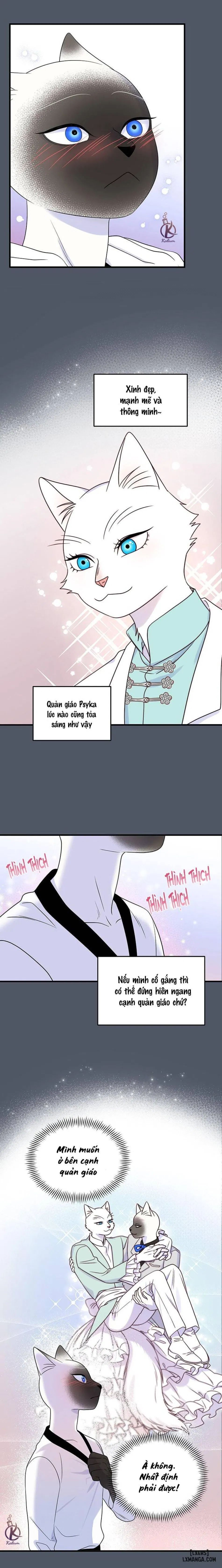 Dự án xanh 