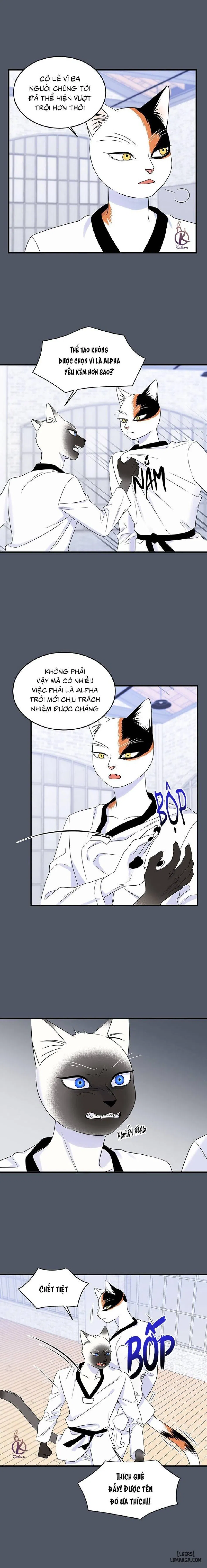 Dự án xanh 
