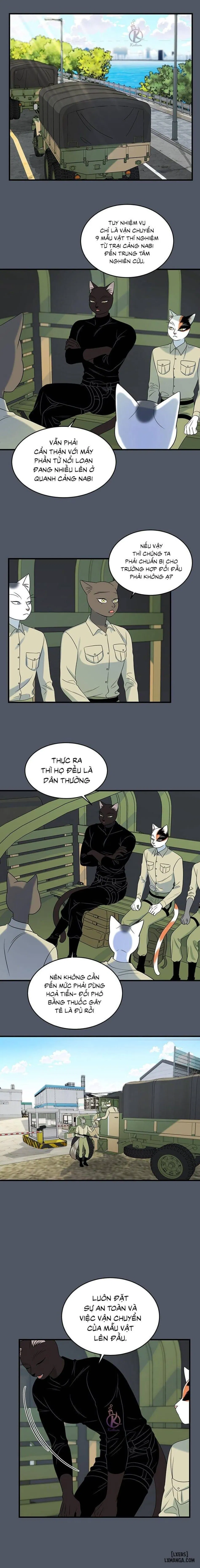 Dự án xanh 