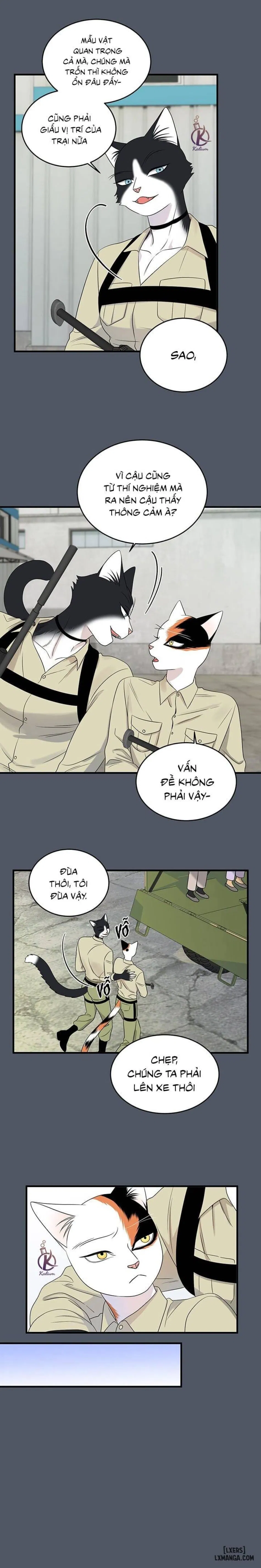 Dự án xanh 