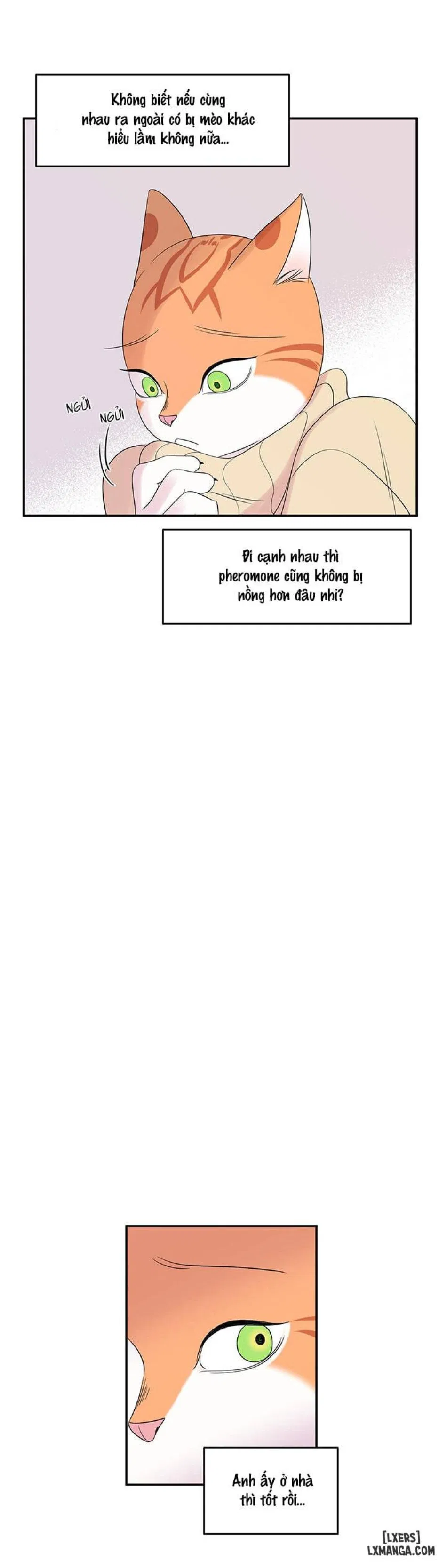 Dự án xanh 