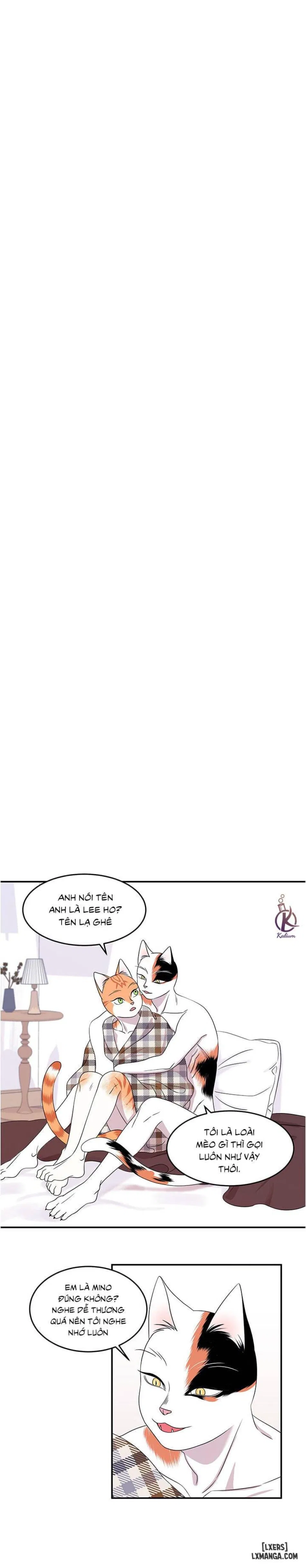 Dự án xanh 