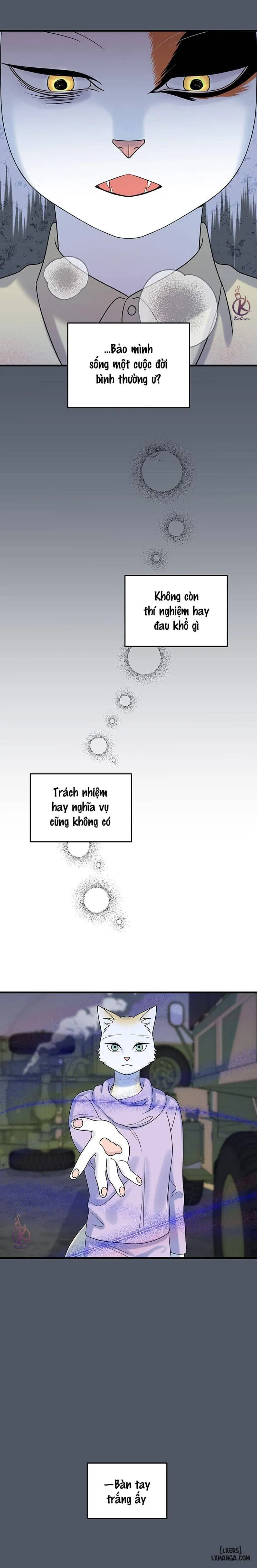 Dự án xanh 