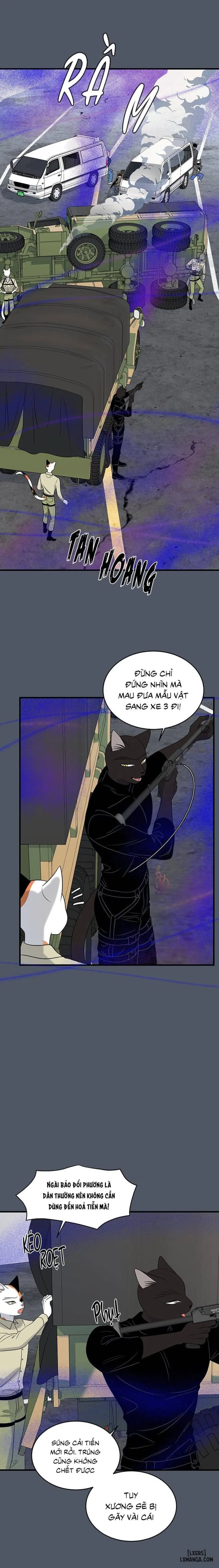 Dự án xanh 
