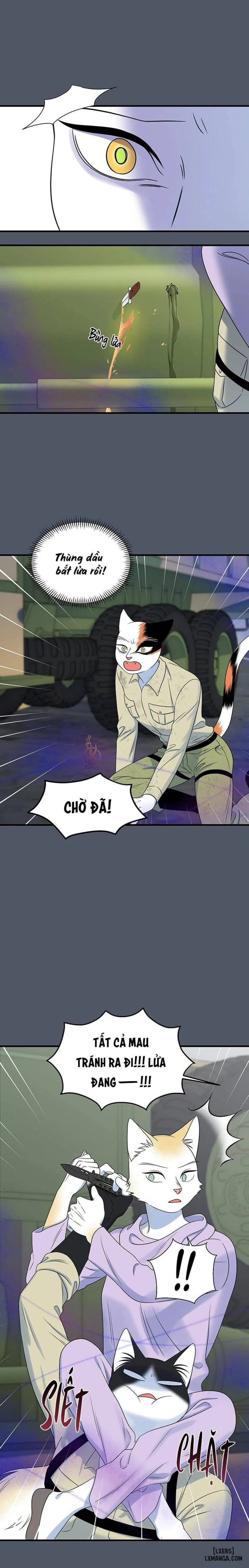 Dự án xanh 