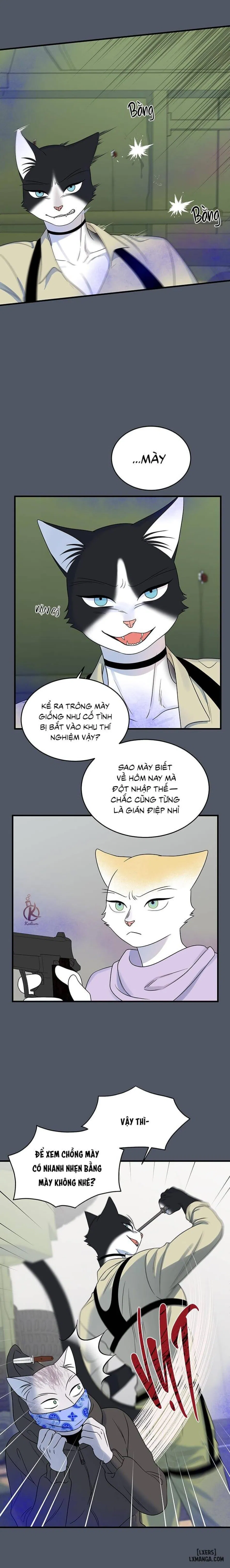 Dự án xanh 