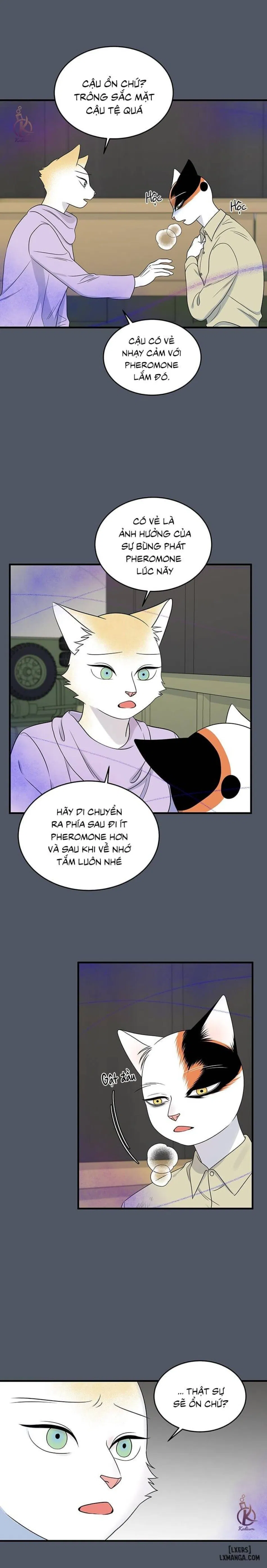 Dự án xanh 