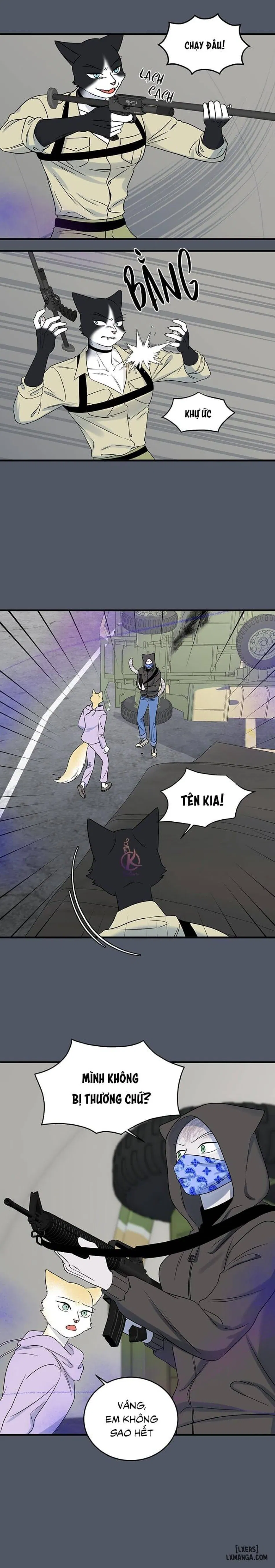 Dự án xanh 
