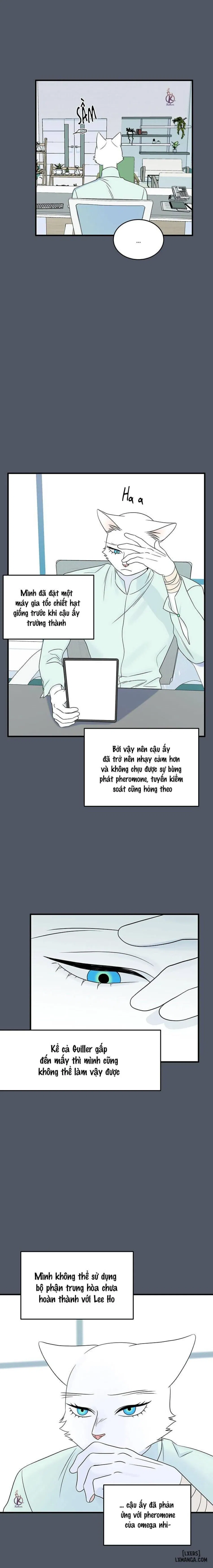 Dự án xanh 