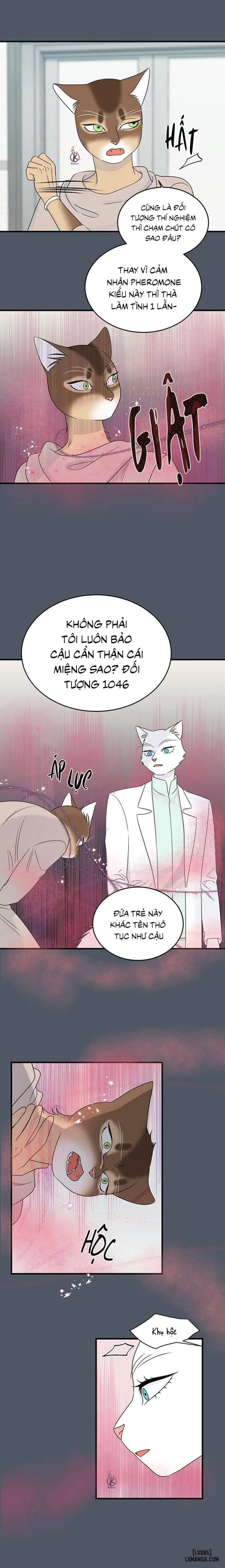 Dự án xanh 