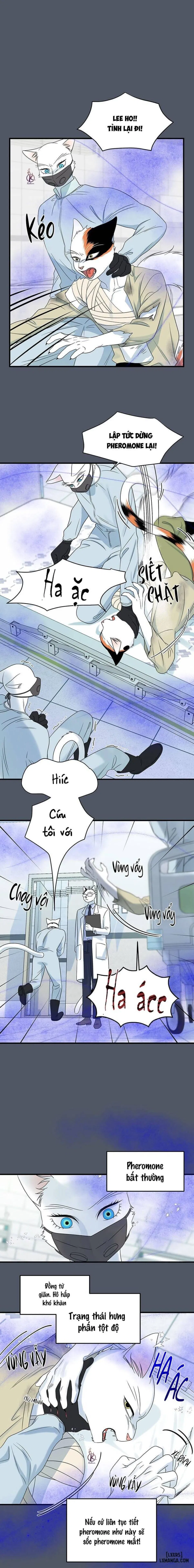 Dự án xanh 