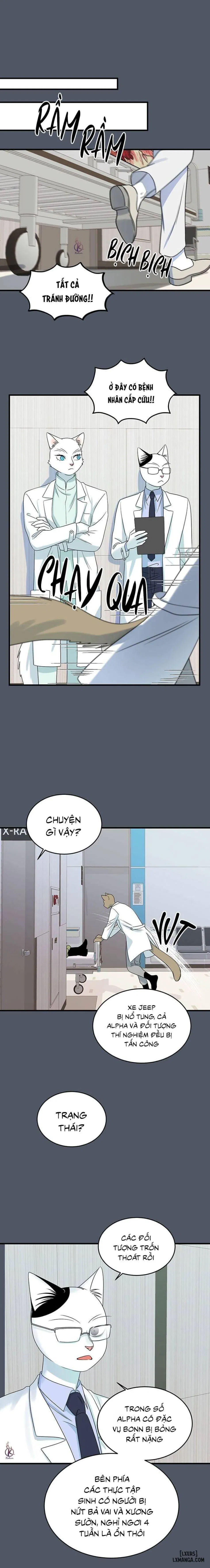 Dự án xanh 