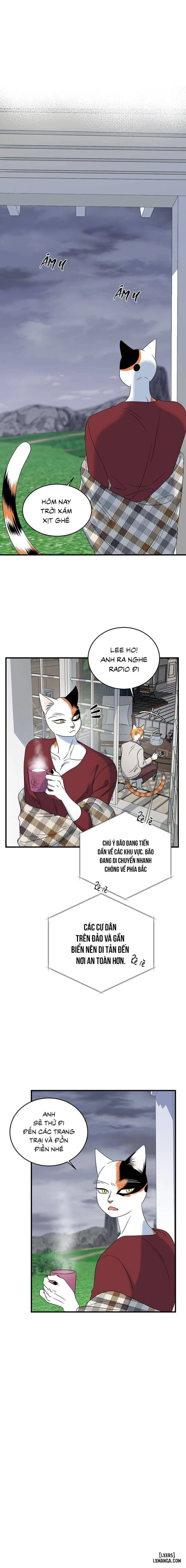 Dự án xanh 