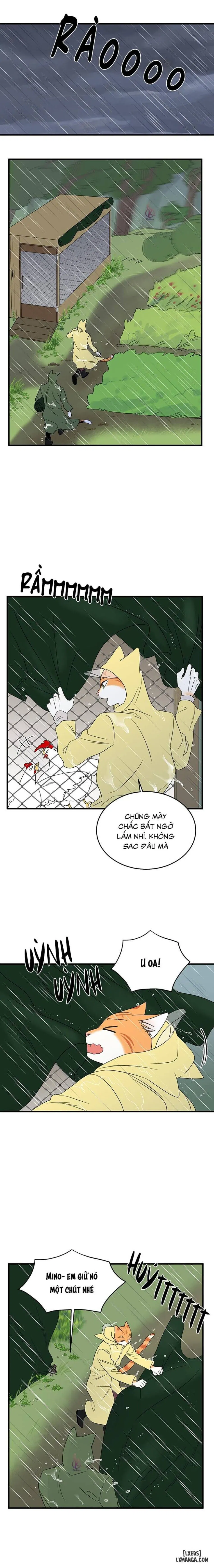 Dự án xanh 